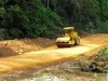 Shaping & Compaction